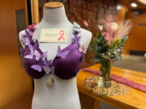 Palative Care Bra - Copy