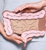 partial view of woman holding paper made large intestine on grey background partial view of woman holding paper made large intestine on grey background