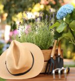 Beautiful potted flowers, straw hat and gardening tools on wooden table outdoors, closeup