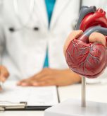 Cardiovascular disease CVD, doctor with heart human model anatomy for treatment patient in hospital.